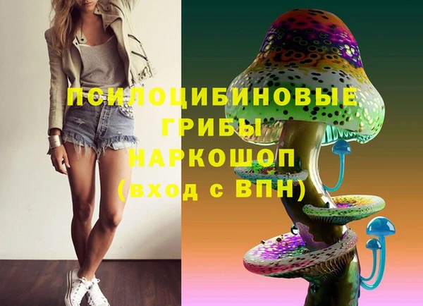 крисы Алзамай
