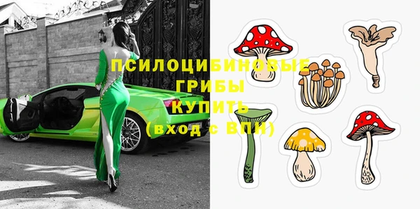 крисы Алзамай