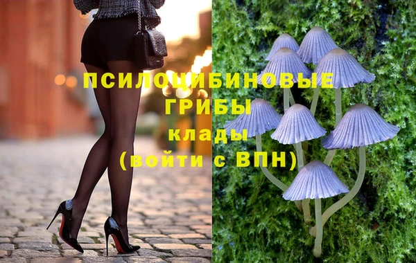 крисы Алзамай