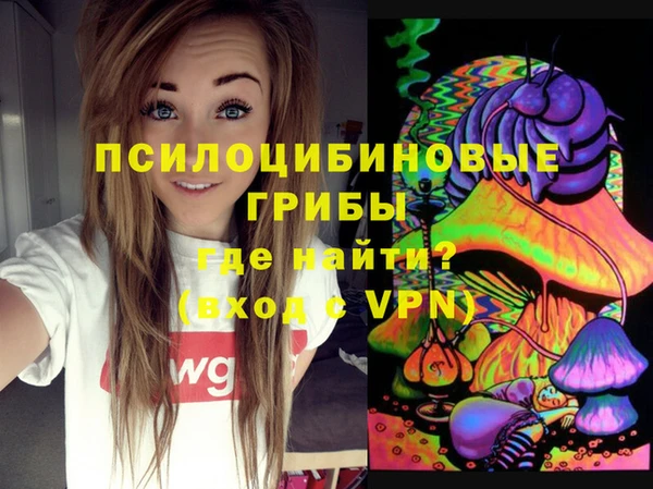 крисы Алзамай