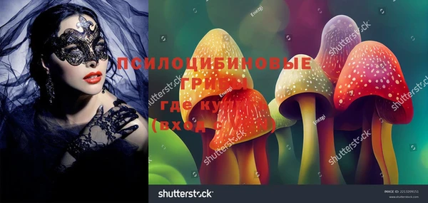 ГАЛЛЮЦИНОГЕННЫЕ ГРИБЫ Алексеевка